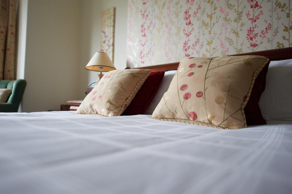 Hotel Buckley Arms Dinas Mawddwy Zewnętrze zdjęcie
